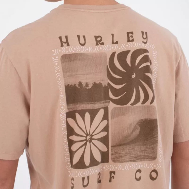 HURLEY CYCLE OF THE EARTH SS BRISTLECONE