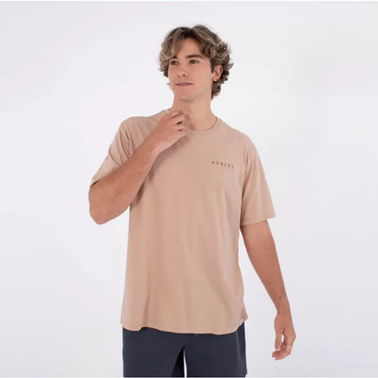 HURLEY CYCLE OF THE EARTH SS BRISTLECONE
